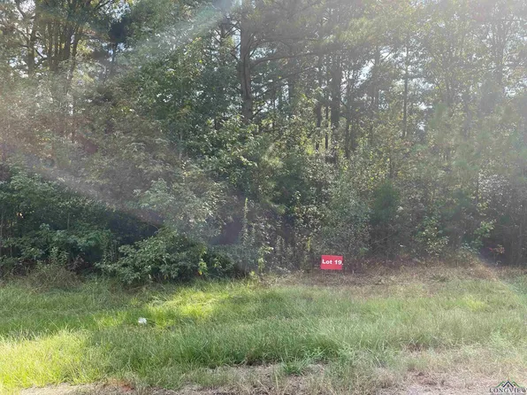 19 County Road 2204d & Dm #1797, Tatum, TX 75691