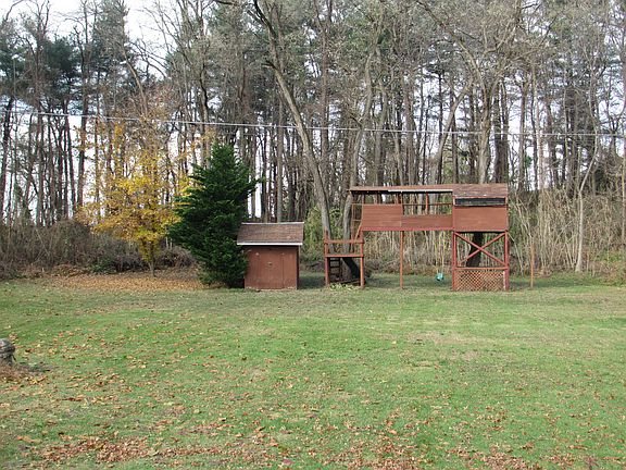 Tree House and shed