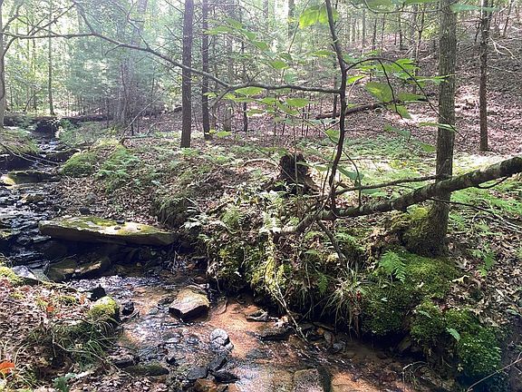 4th image of Ll322 Warnock Mountain Acres Ln