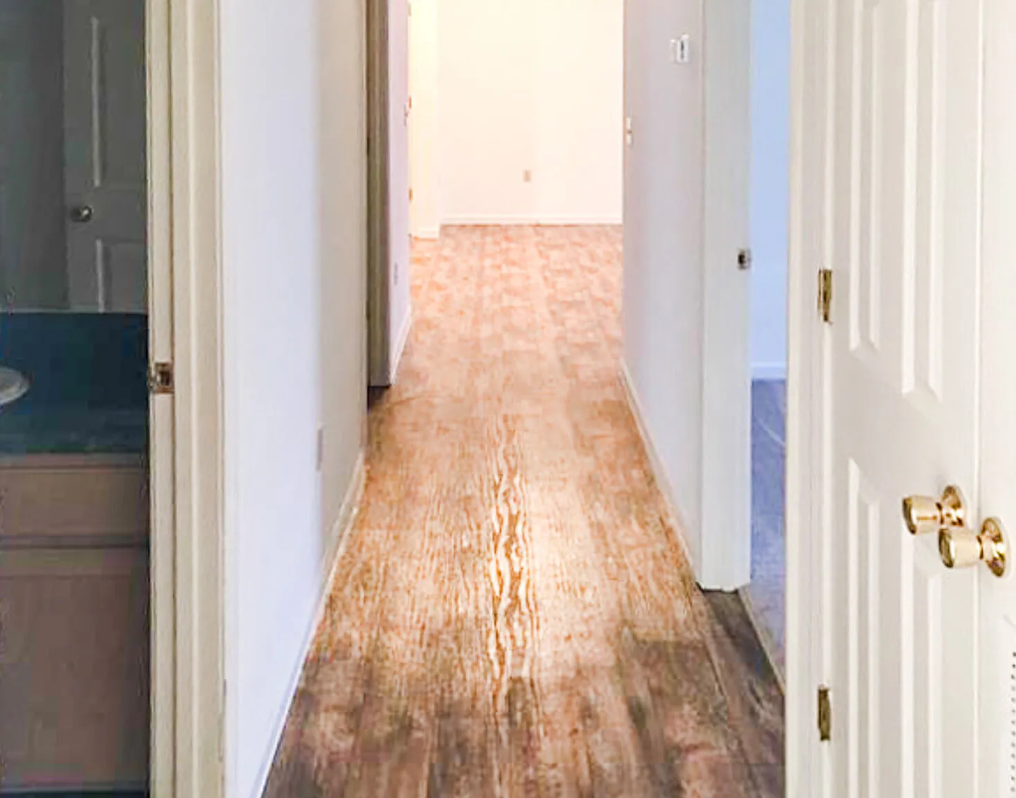 Orchard View — Photo 4