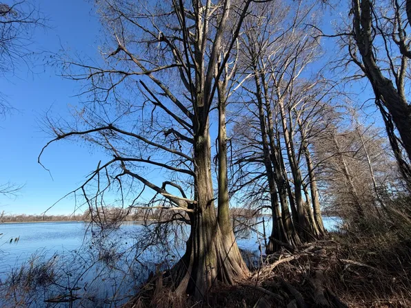 8163 Horseshoe Cir, Hughes, AR 72348