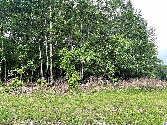 3rd image of LOT 6 Mallard Dr
