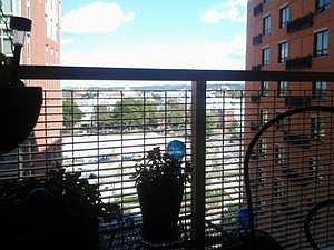 Great view of the park