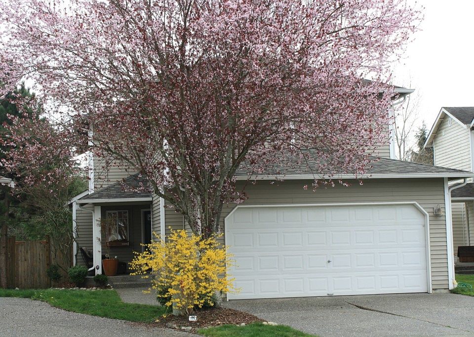 1st image of 823 124th Ct NE