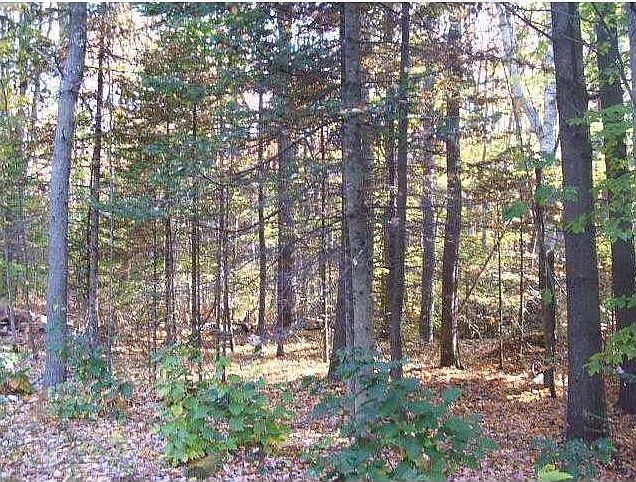 2nd image of Lot 0 Campground Road