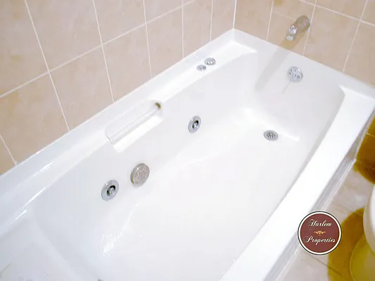 Rented by Harlem Properties | media 22