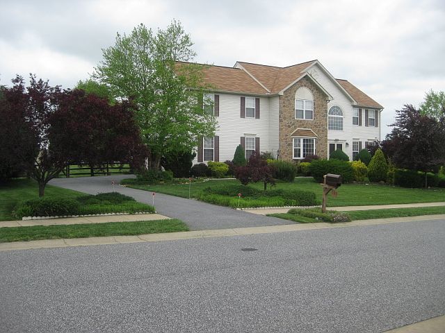 VIEW FROM FRONT  IN SUMMER