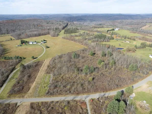 0 Lisle Rd W, Owego, NY 13827