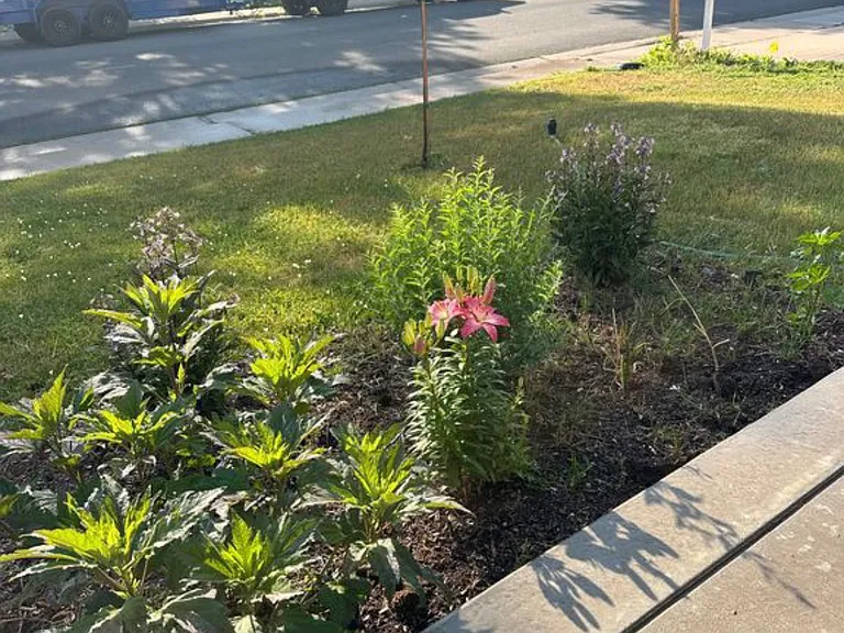 7229 S Iris Ct — Photo 12