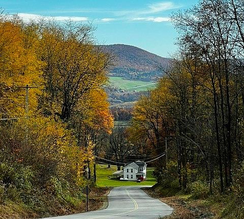 5th image of 7756 Gulick Rd