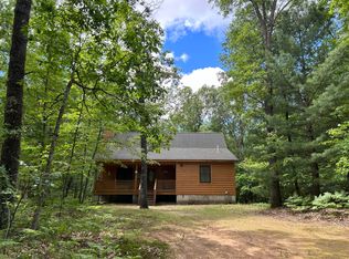 9785 S Orchid Ave, Baldwin, MI 49304
