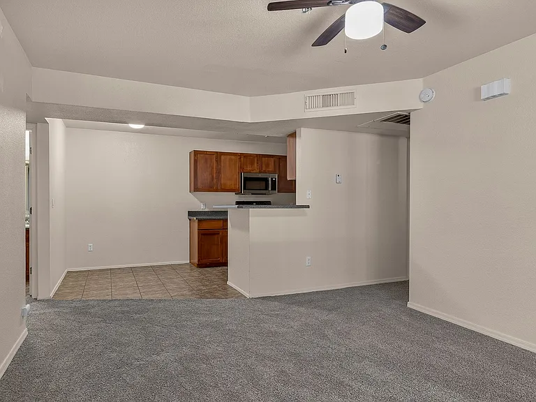 1385 W University Ave #11-186 — Photo 5