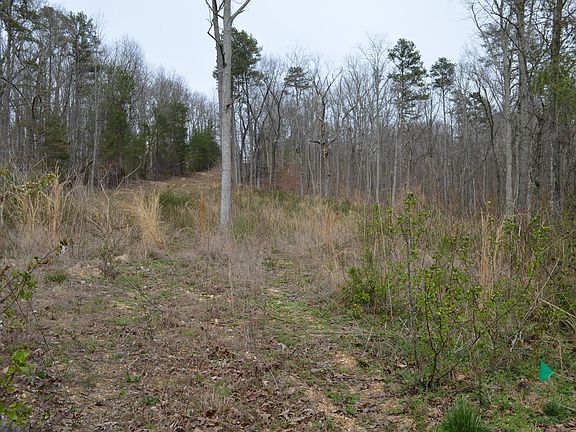 5th image of 0 Little Falls Cir NW #4