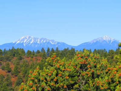 36282 Lodgepole Trce, Trinidad, CO, 81082