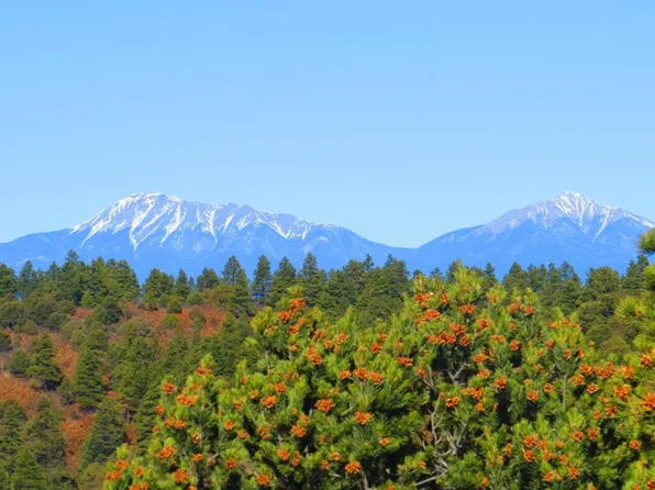 36282 Lodgepole Trce, Trinidad, CO 81082