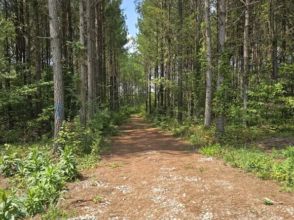 T23l5 Sheep Ranch Rd, Robbins, TN 37852