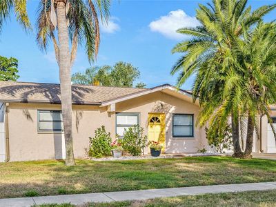715 Charlotte Ave, Tarpon Springs, FL, 34689