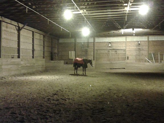 Indoor arena 50x100