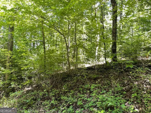 LOT 11 Fodder Creek Mill Dr, Hiawassee, GA 30546