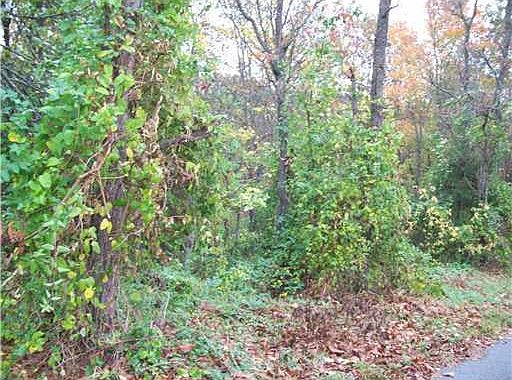 1st image of Thornhill Ln
