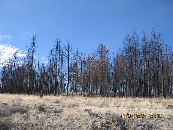 4th image of LOT 18 N White Oak Ln