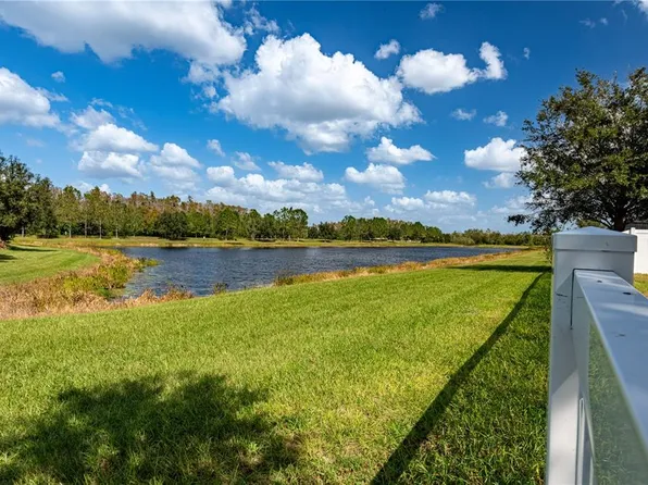 10622 Mistflower Ln, Tampa, FL 33647