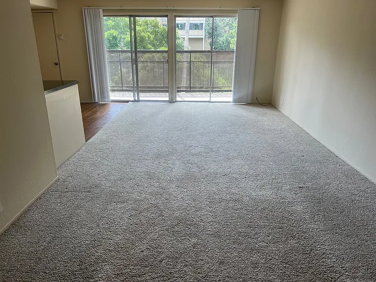10 Mulberry Court — Photo 27