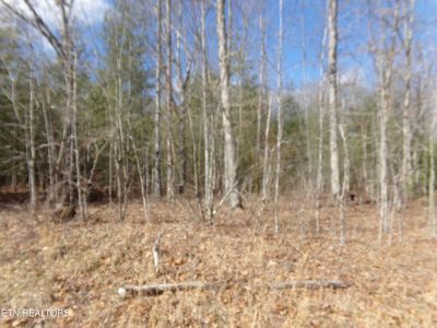900 Paola Dr, Crossville, TN, 38572