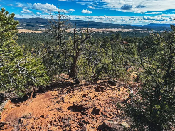 Tracts D1 D2 A D2 B Dragonfly Canyon Rd, Rowe, NM 87562