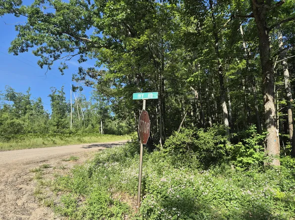 W Pinewood Dr, Roscommon, MI 48653