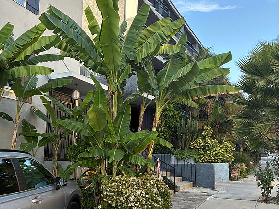 3rd image of 1343 N Sierra Bonita Ave APT 10