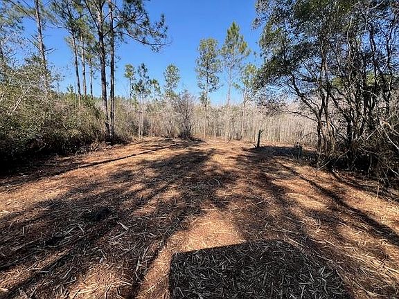 4th image of Smyrna Rd