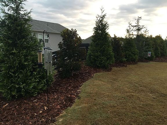 Additions to the back yard