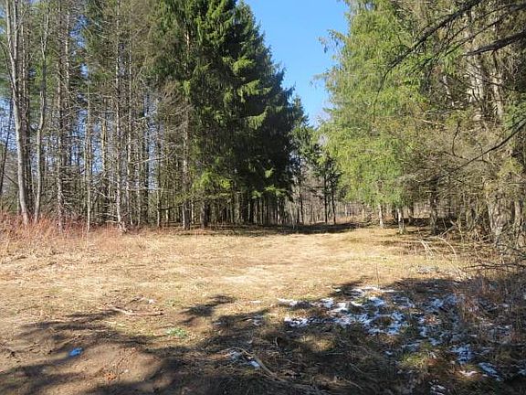 4th image of 0 Burdicks Crossing Rd