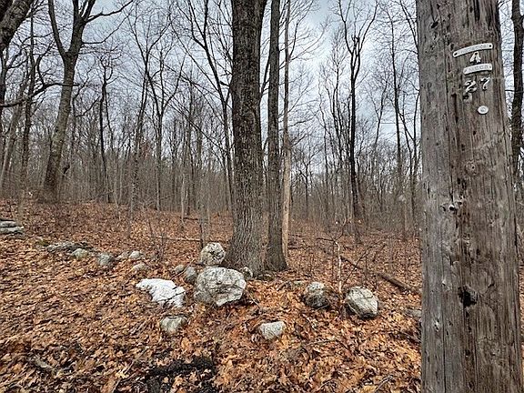 2nd image of 5 Gould Rd