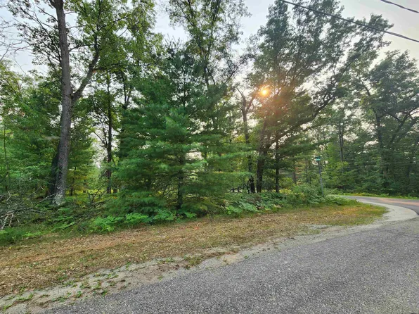 LOT 98 Wilderness Dr, Alger, MI 48610