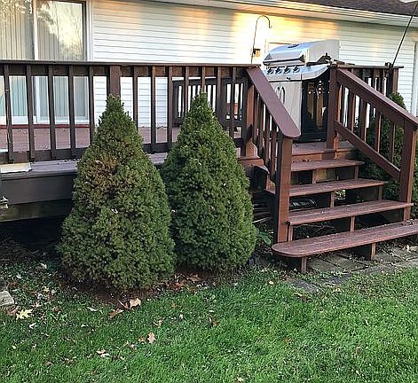 3rd image of 6690 Woodland Dr