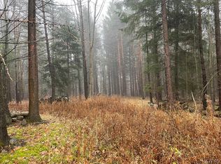 0 Turnpike Rd W, Almond, NY 14804