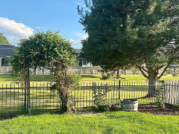 Backyard1