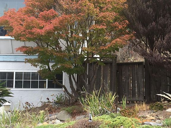 4th image of 1174 Sheila Ln