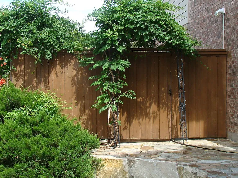 Entrance to backyard from front of the home.