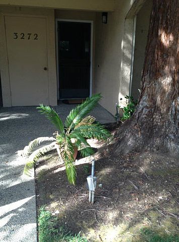 1st image of 3272 Kimber Ct APT 39