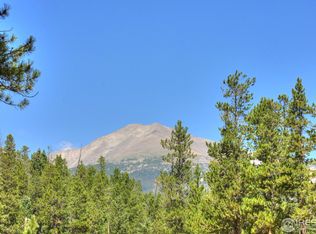 300 S Skinner Rd, Allenspark, CO 80510