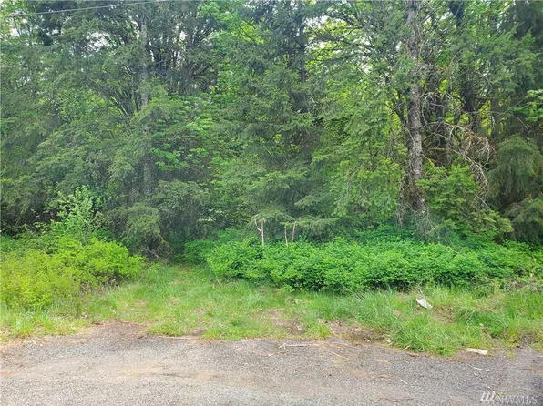 572 Avery Rd W, Evaline, WA 98596