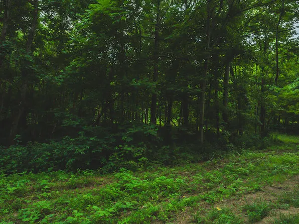 LOT 8 Woolwine Hwy, Woolwine, VA 24185