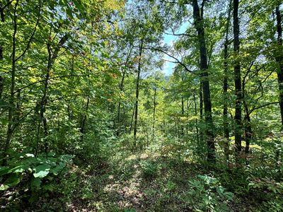 LOT 34 Black Walnut Frst, Bryson City, NC, 28713