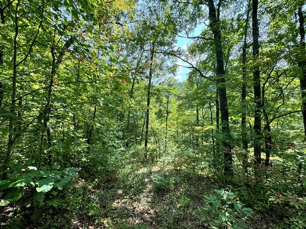 LOT 34 Black Walnut Frst, Bryson City, NC 28713