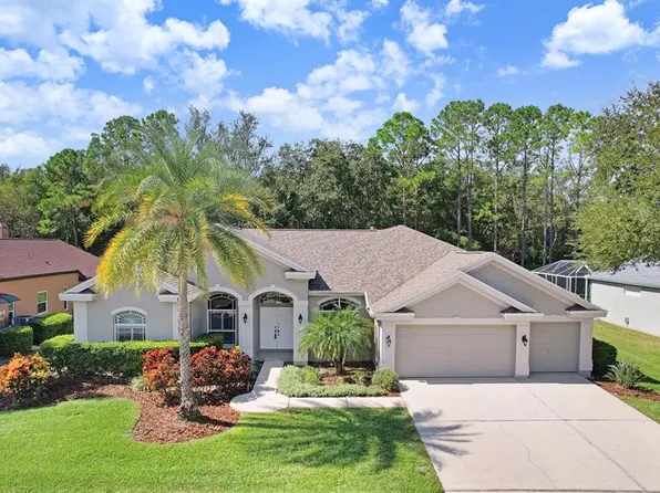 4482 Rockwood Dr, Palm Harbor, FL 34685