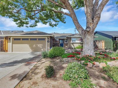 1451 Quartz Way, San Jose, CA, 95118