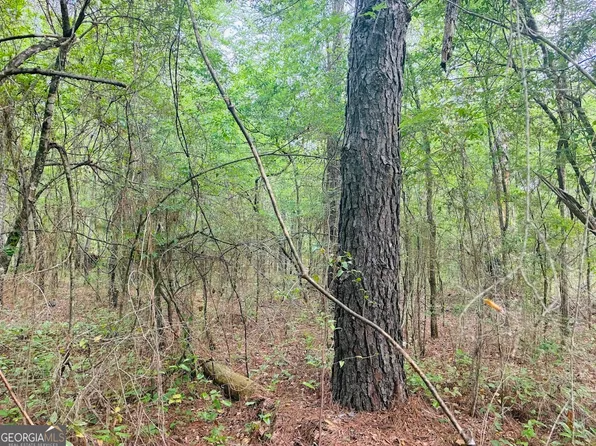 0 Wall St Tract A, Tallassee, AL 36078